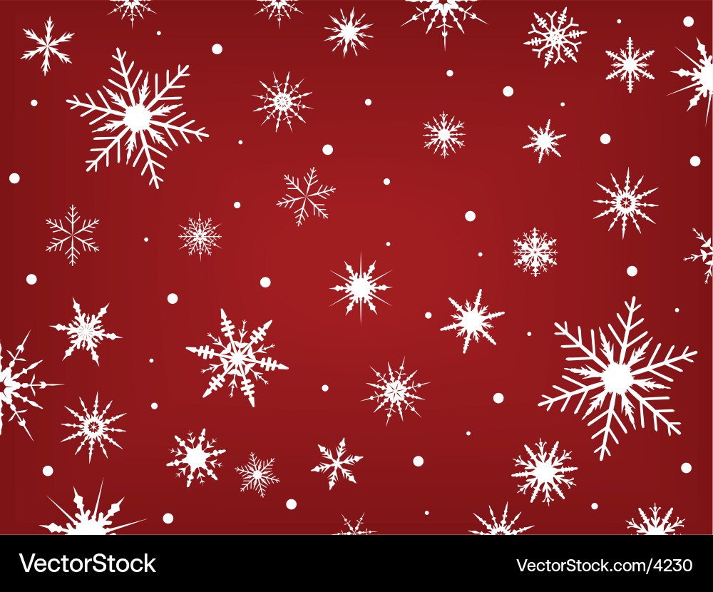 Winter Snowflake Pattern vector image