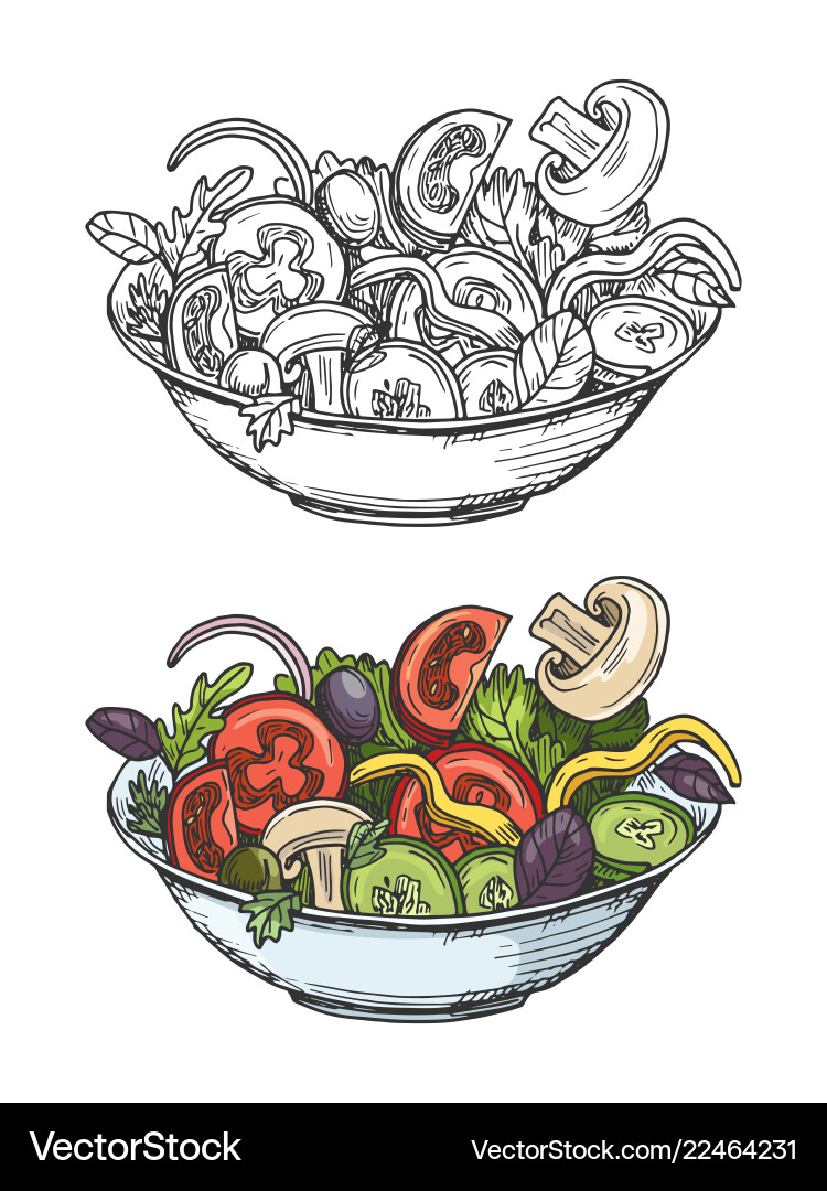 Big bowl of green salad with tomatoes cucumbers vector image