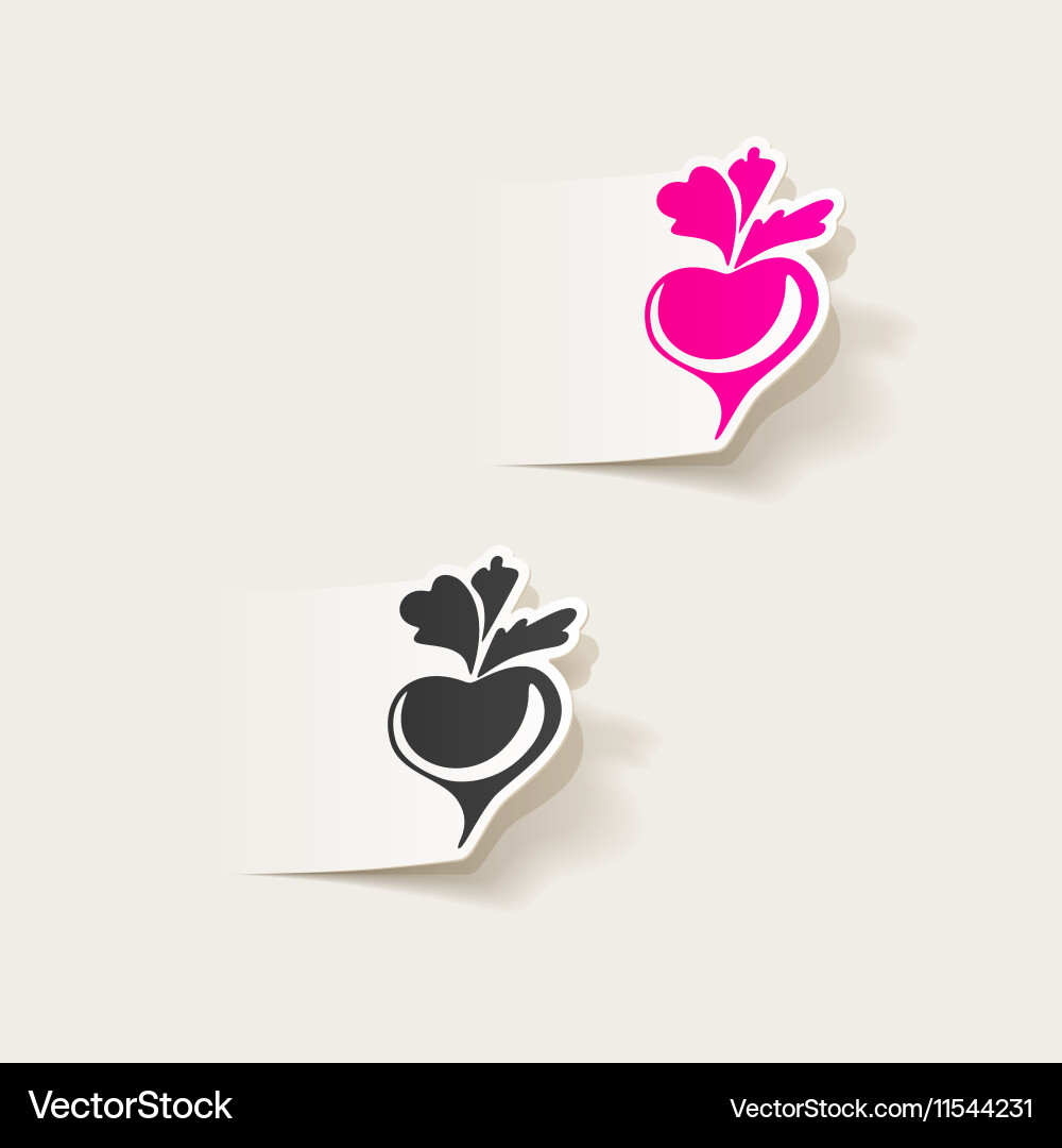 Realistic design element beet Vector Image