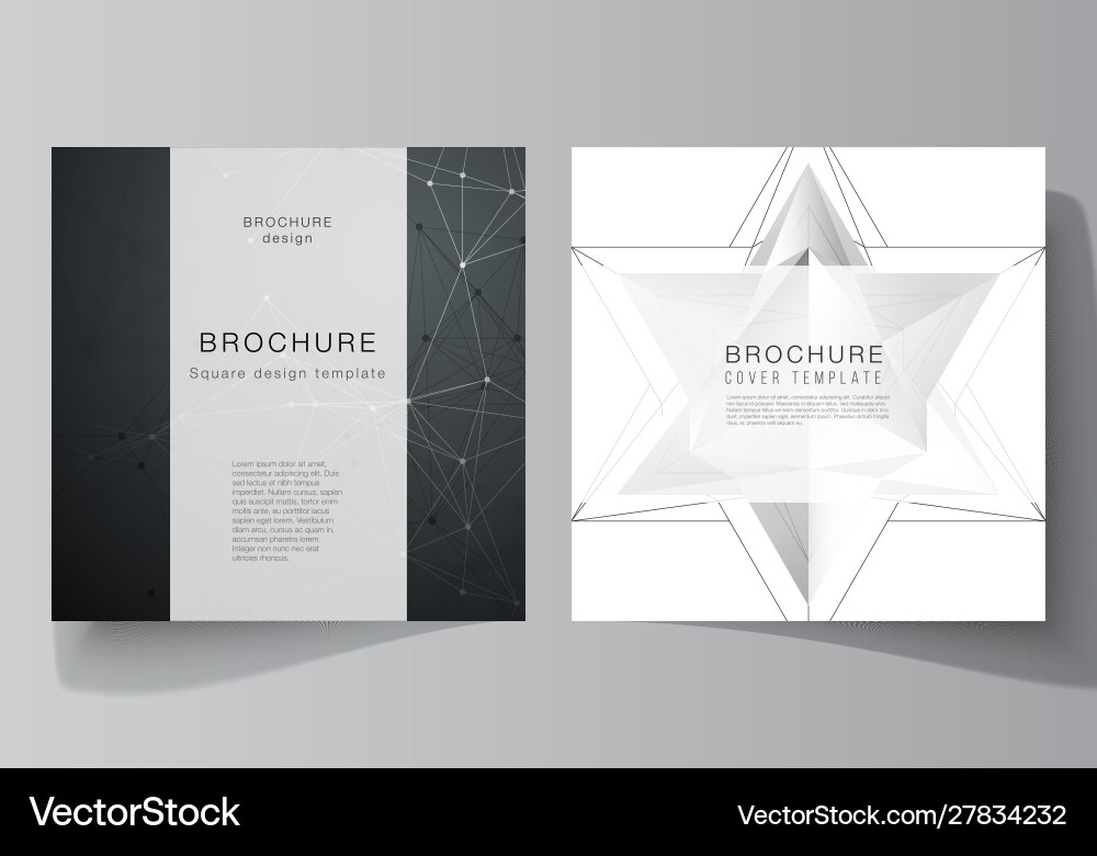 Minimal layout two square format covers Minimal layout two square format covers vector image