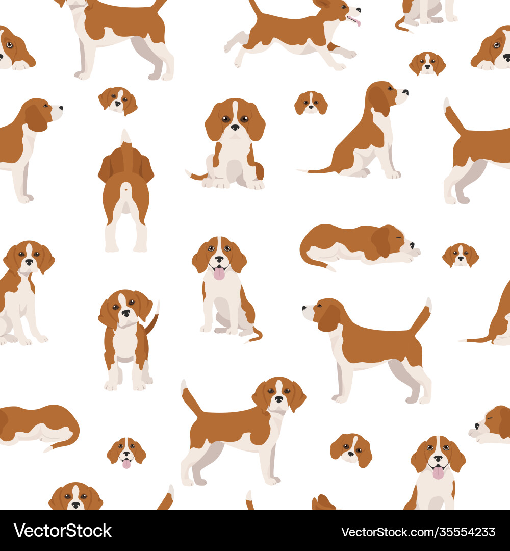 Beagle seamless pattern different poses Beagle seamless pattern different poses vector image