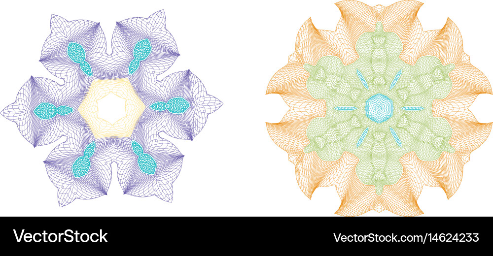 Intricate Rosette Pattern vector image