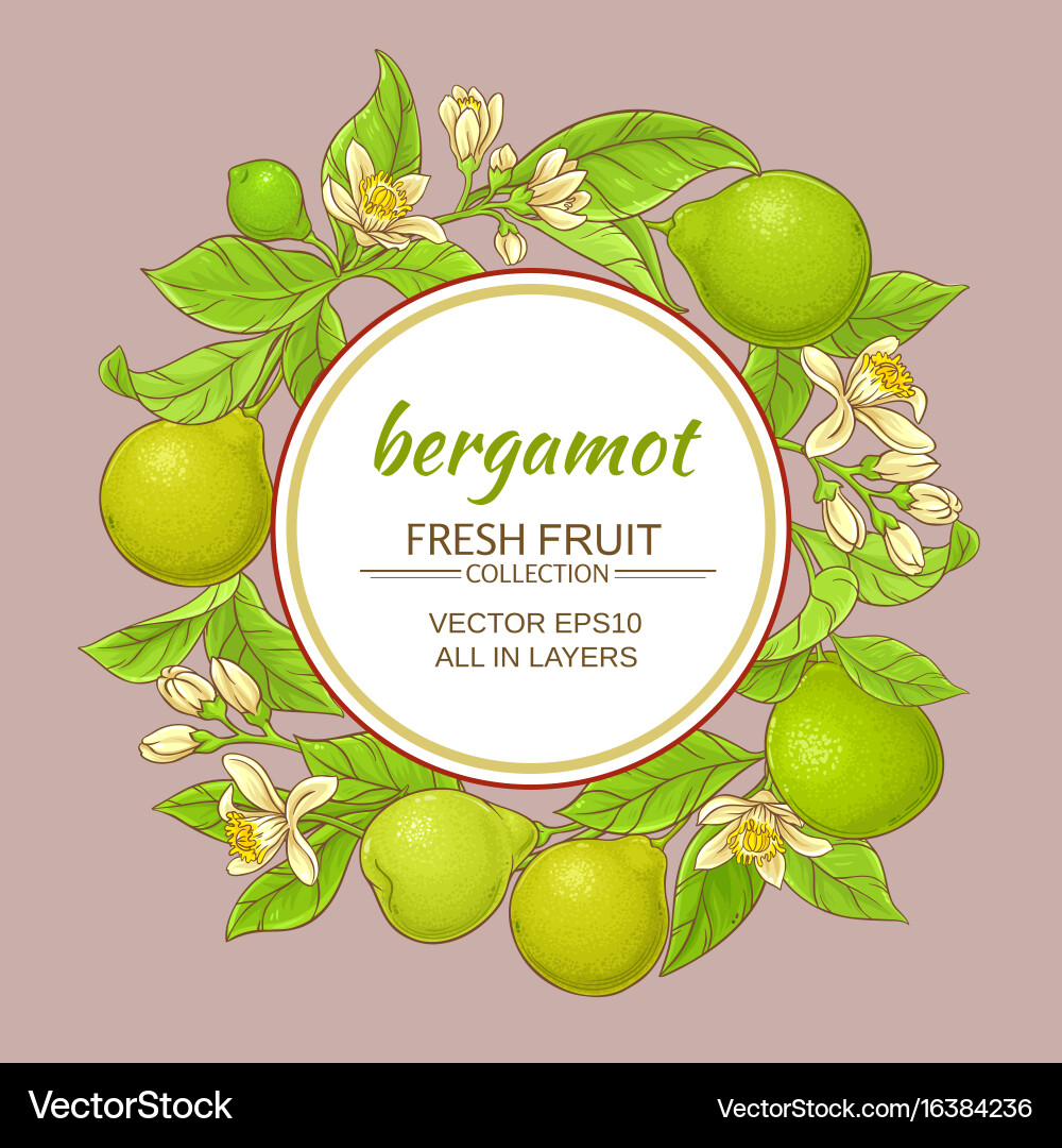 Bergamot frame Royalty Free Vector Image - VectorStock