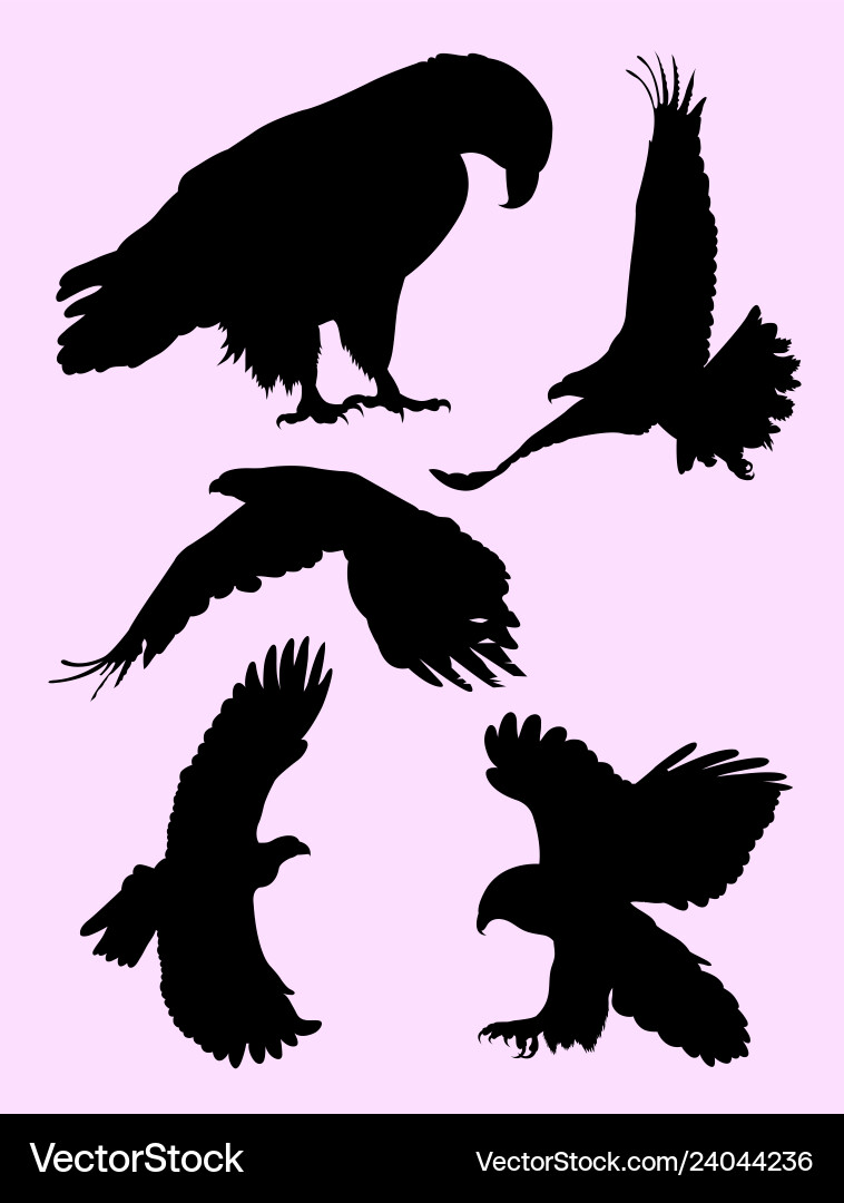 Flying Eagle Silhouette Vector Image