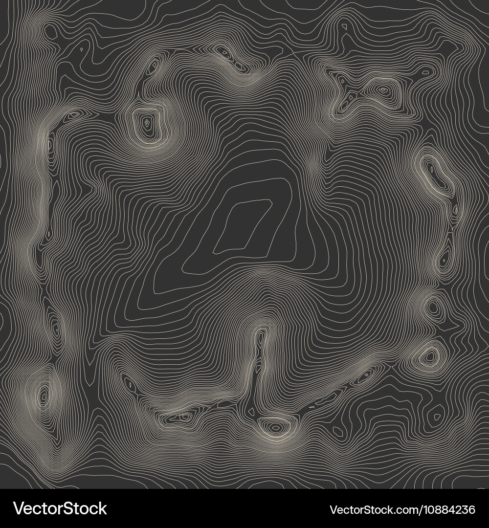 Topographic map background concept with space Vector Image