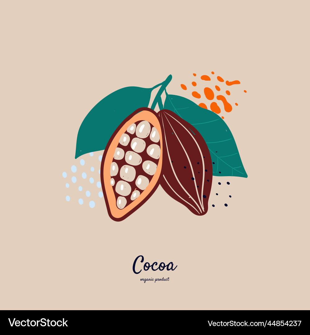 Doodle cocoa and abstract elements vector image