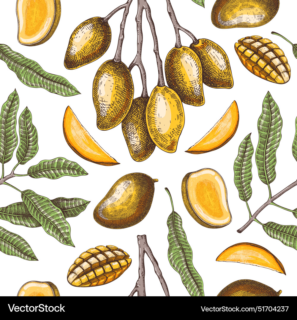 Tropische Frucht nahtlose Muster reife Mango Skizze Tropische Frucht nahtlose Muster reife Mango Skizze vektorbild