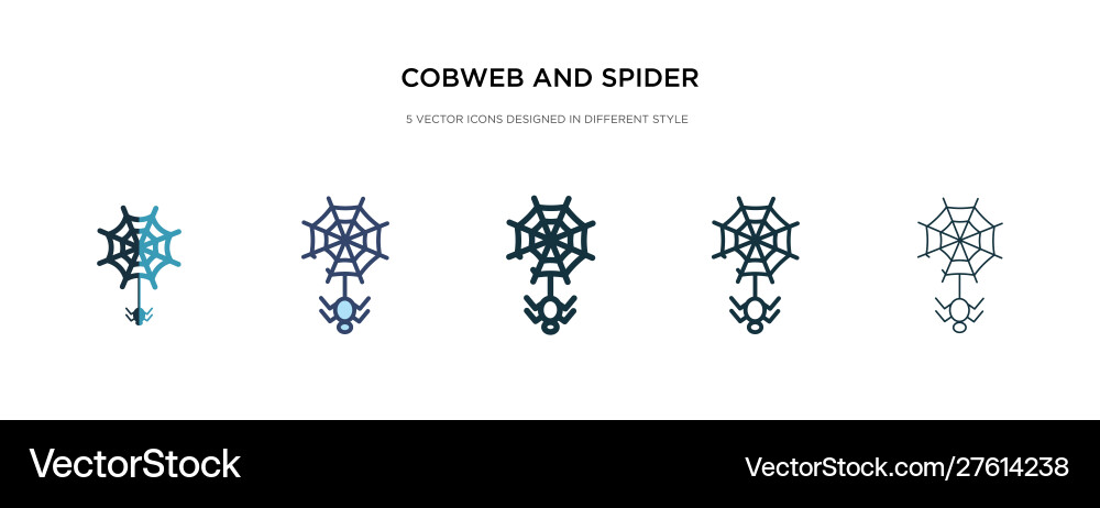 Cobweb and spider icon in different style two vector image