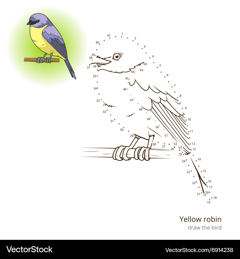 Yellow robin bird learn to draw Vector Image