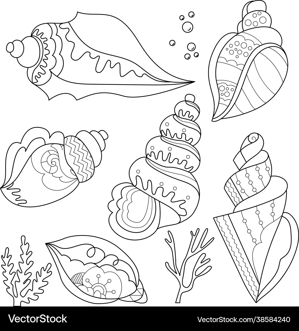 Contour linear with shell set cute shells anti Contour linear with shell set cute shells anti vector image