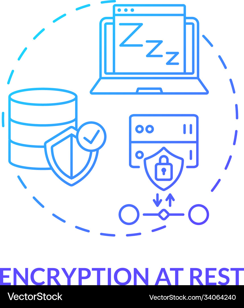 Encryption at rest concept icon Vector Image