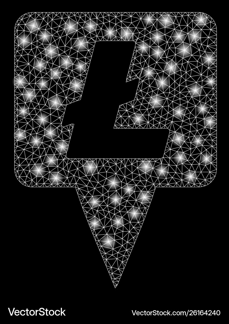 Flare mesh carcass litecoin map pointer with vector image