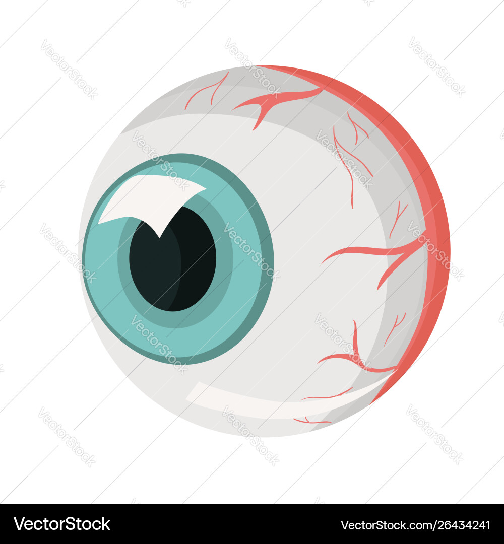 Human Eye - Isolated Part Royalty Free Vector Image