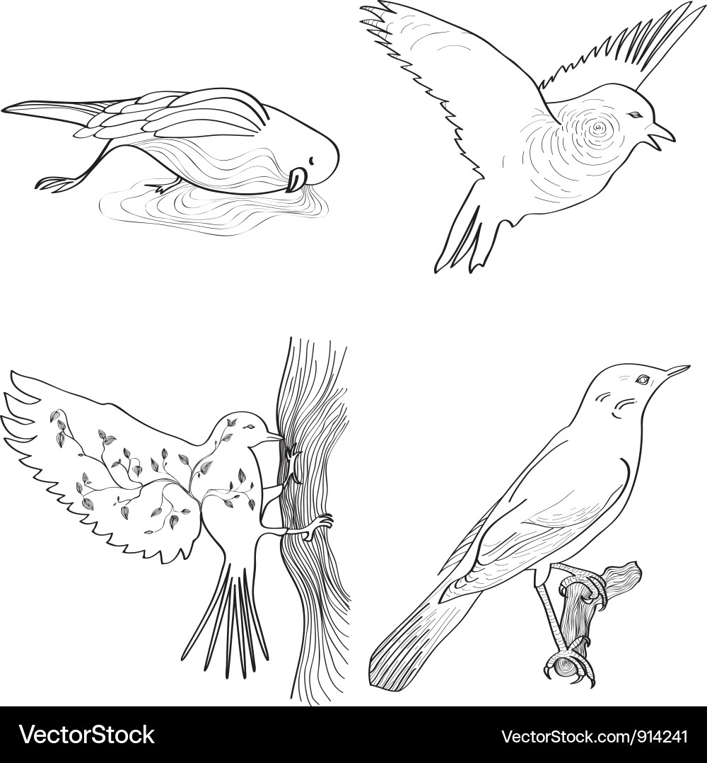 Mystical Bird Sketches Vector Image