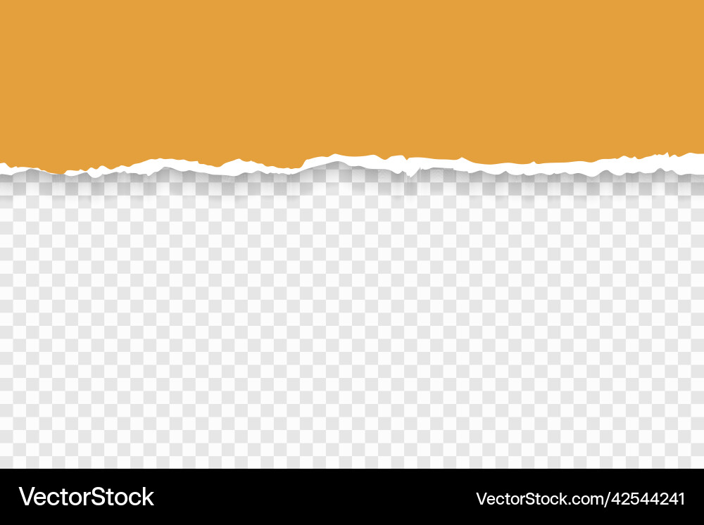 Torn paper with ripped edges and soft shadow Torn paper with ripped edges and soft shadow vector image