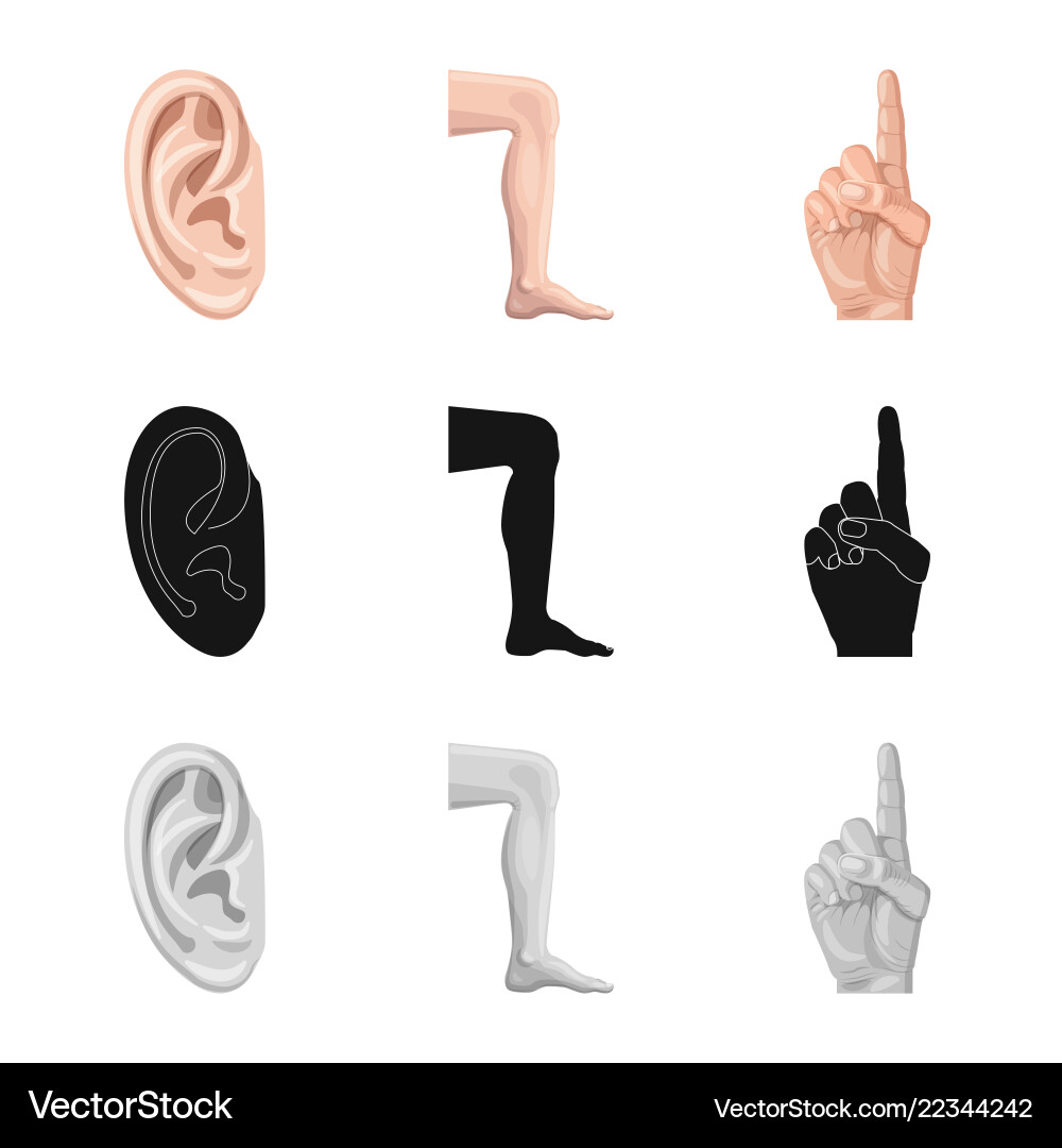 Design of human and part symbol collection Design of human and part symbol collection vector image
