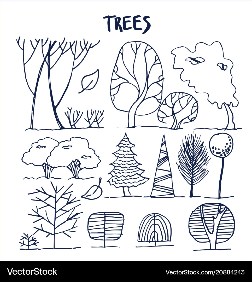 Set of various trees patterns Set of various trees patterns vector image