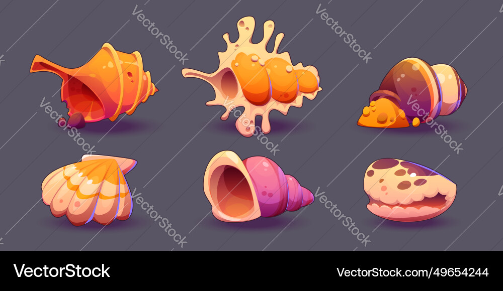 Set of seashells isolated on background Set of seashells isolated on background vector image