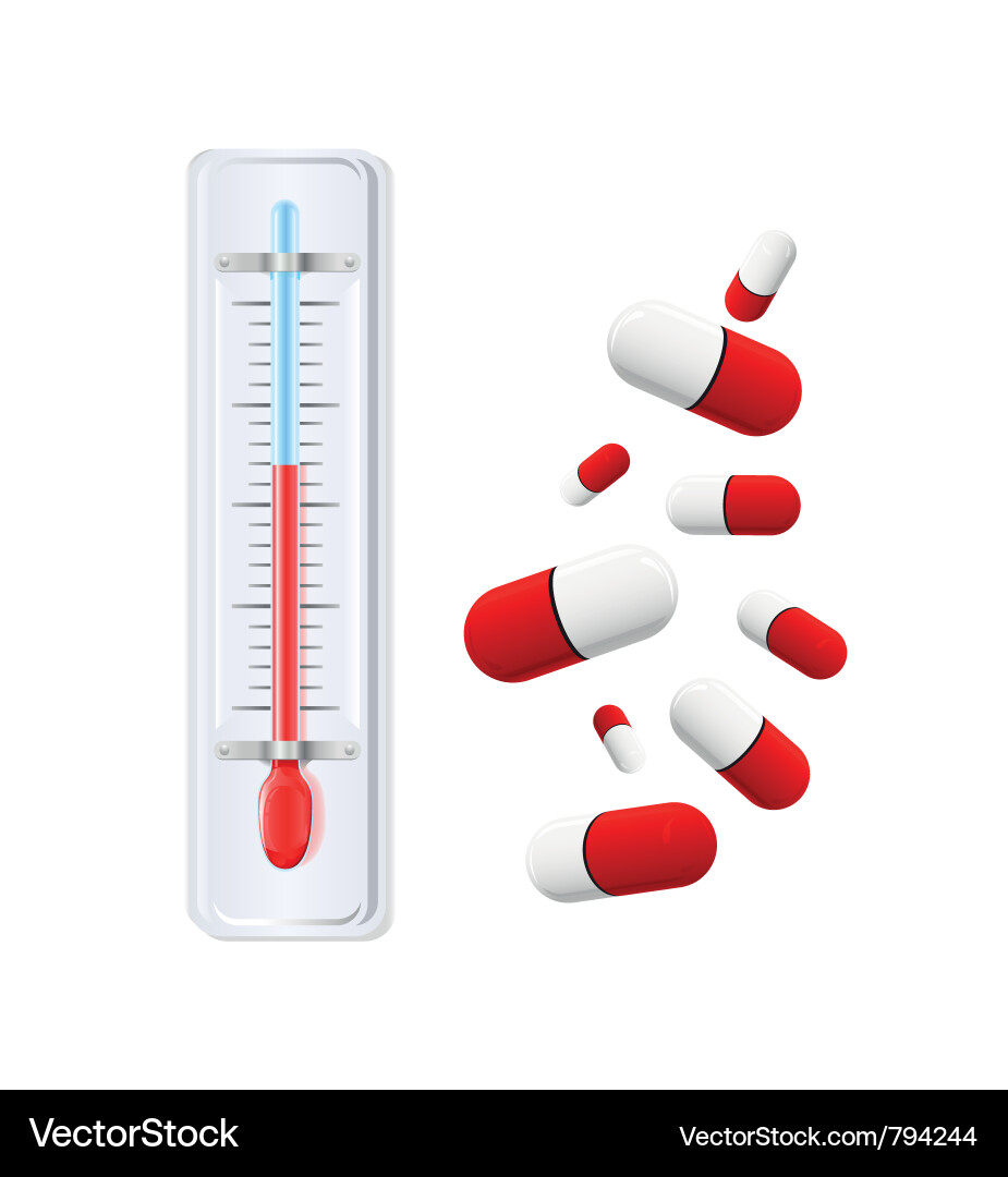Thermometer with red indicato Vector Image