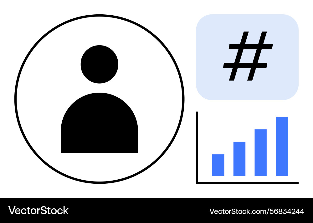 User profile and analytics concept with stats User profile and analytics concept with stats Vector Image