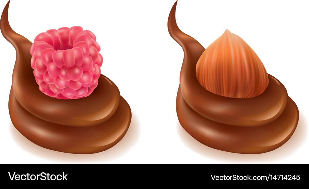 Chocolate splash design with raspberry hazelnut vector image