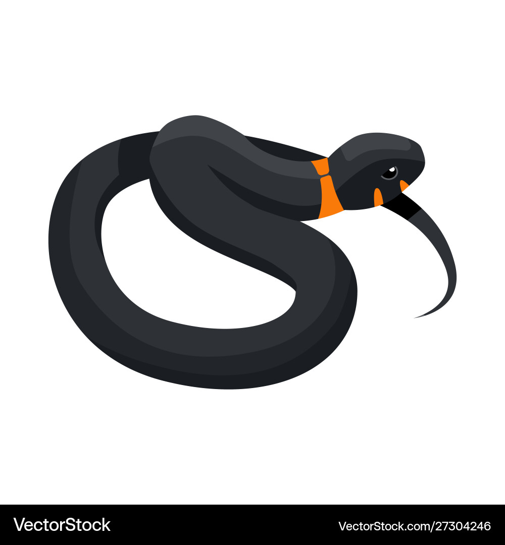 Isolated object serpent and reptile logo web Vector Image