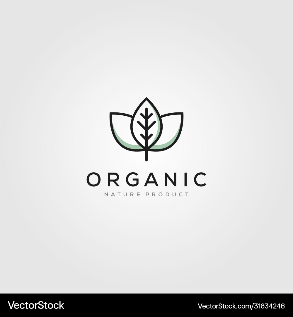 Line art leaf organic logo minimalist design Line art leaf organic logo minimalist design vector image