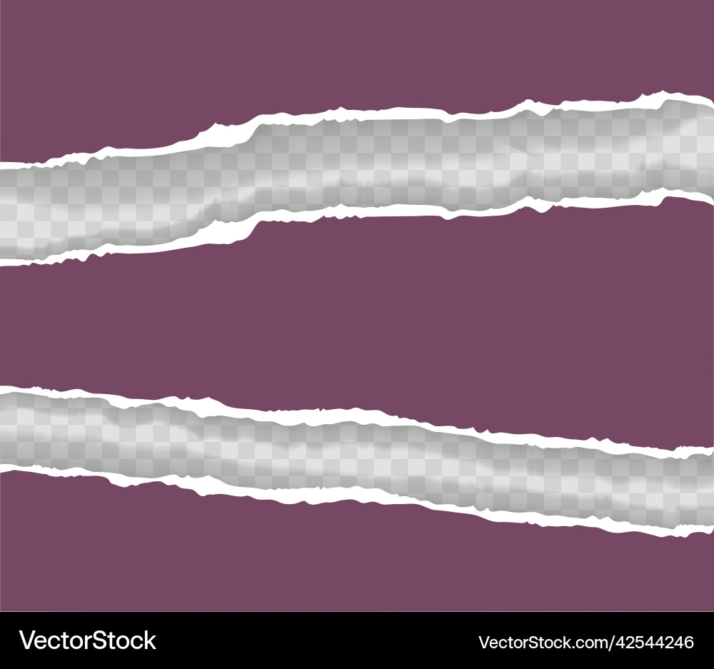 Torn paper with ripped edges and soft shadow Torn paper with ripped edges and soft shadow Vector Image