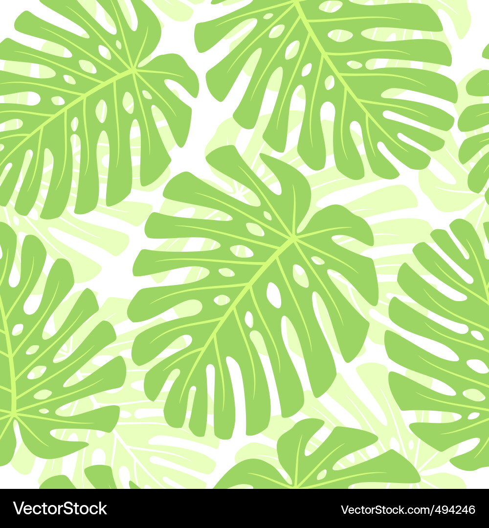 Tropical Monstera Leaves Background Vector Image
