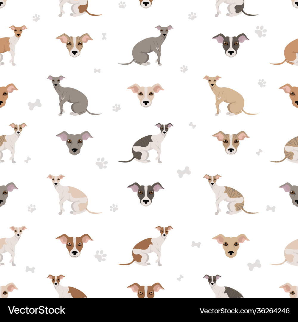 Whippet Seamless Pattern - Dog Breed Vector Image