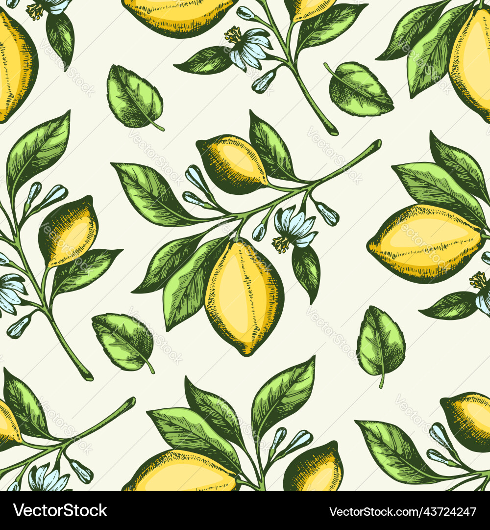 Seamless pattern with lemon branch vector image