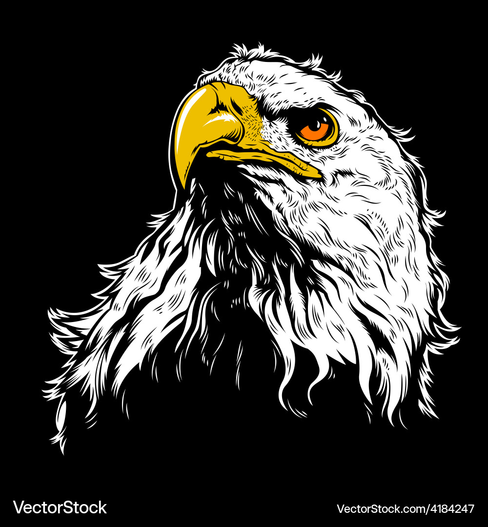 White eagle head Royalty Free Vector Image - VectorStock