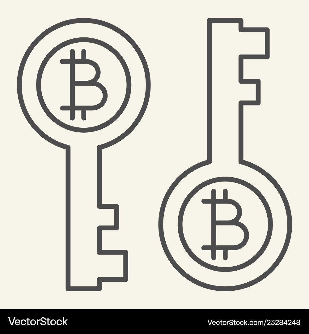 Bitcoin key thin line icon security Bitcoin key thin line icon security vector image