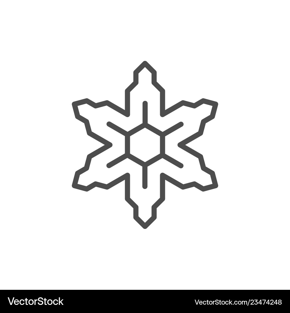 Snowflake line icon vector image