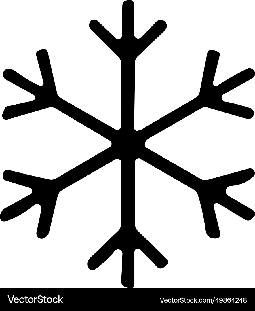 Snowflakes thin line icon simple snowflake Vector Image