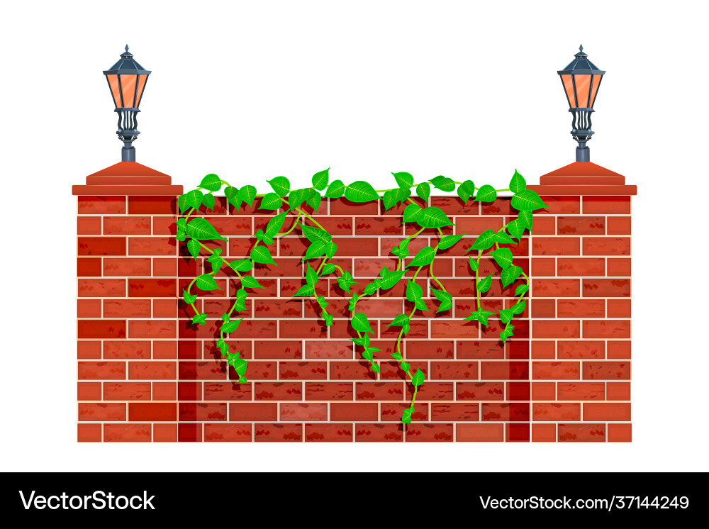 Fence with climbing plant branches Fence with climbing plant branches vector image
