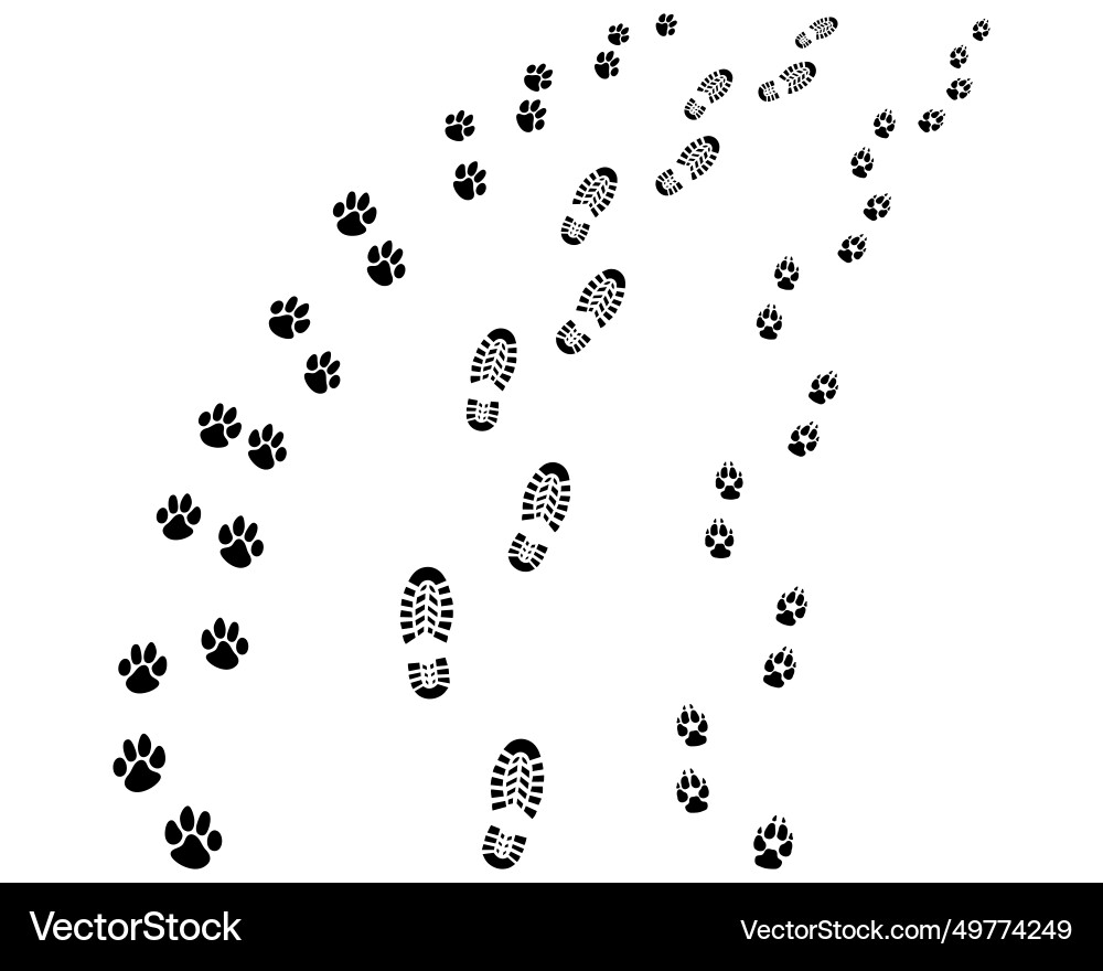 Footprints and Paw Prints vector image