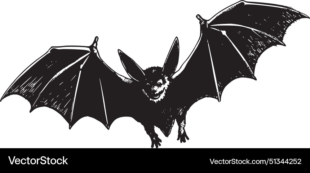 Bat - minimalist and simple silhouette Royalty Free Vector