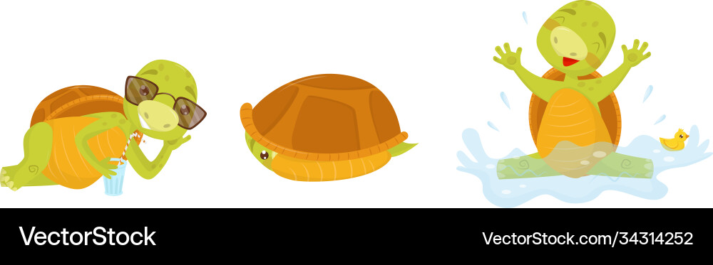 Funny turtle or tortoise with shell drinking Funny turtle or tortoise with shell drinking Vector Image