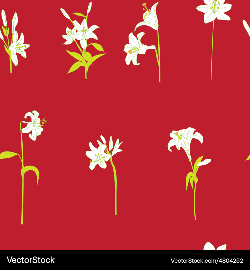 Lilies sparse pattern on red vector image