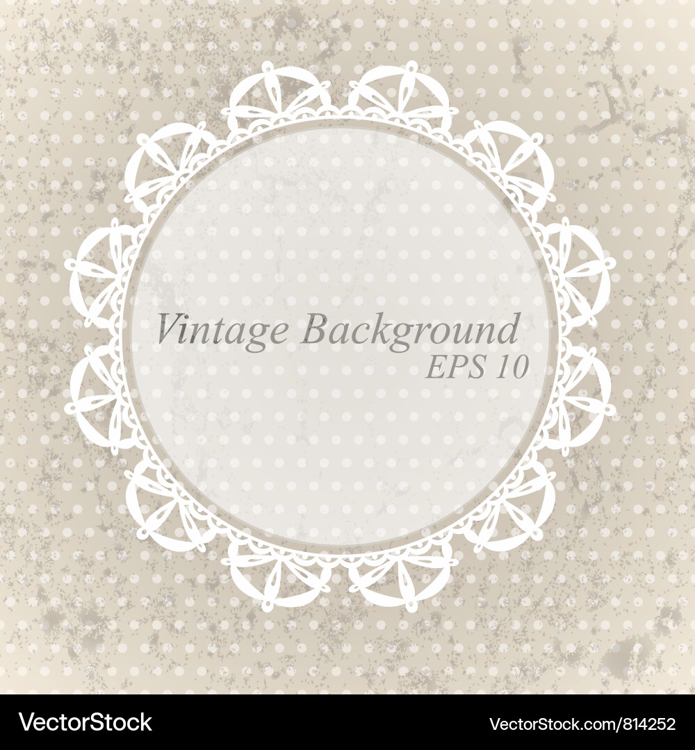 Vintage Lace Texture Background vector image