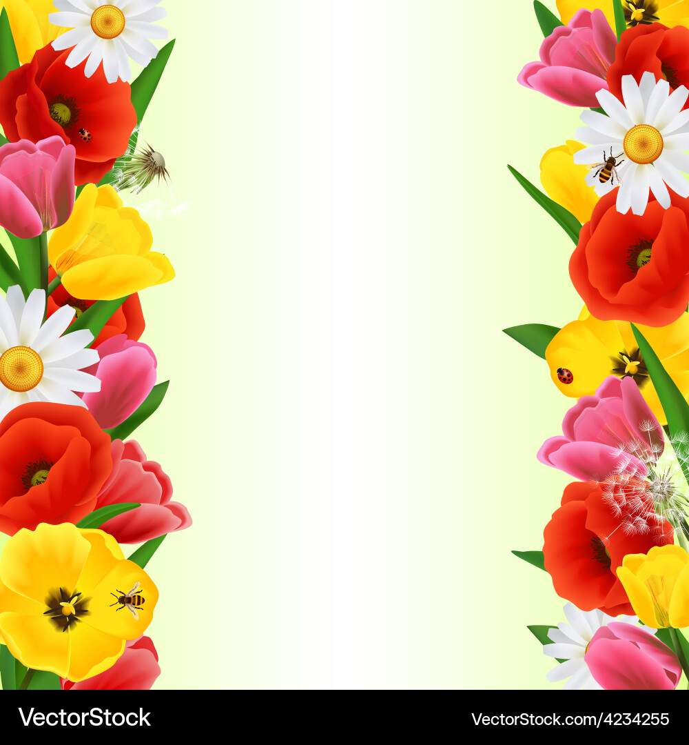 Colorful flower border vector image