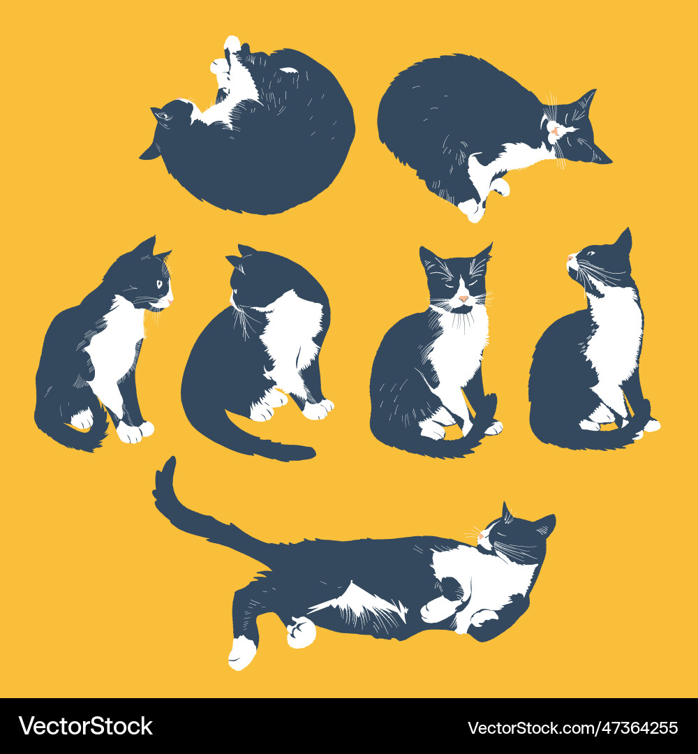 Eine Reihe von schwarzen Katzen isoliert auf dem Hintergrund Eine Reihe von schwarzen Katzen isoliert auf dem Hintergrund vektorbild