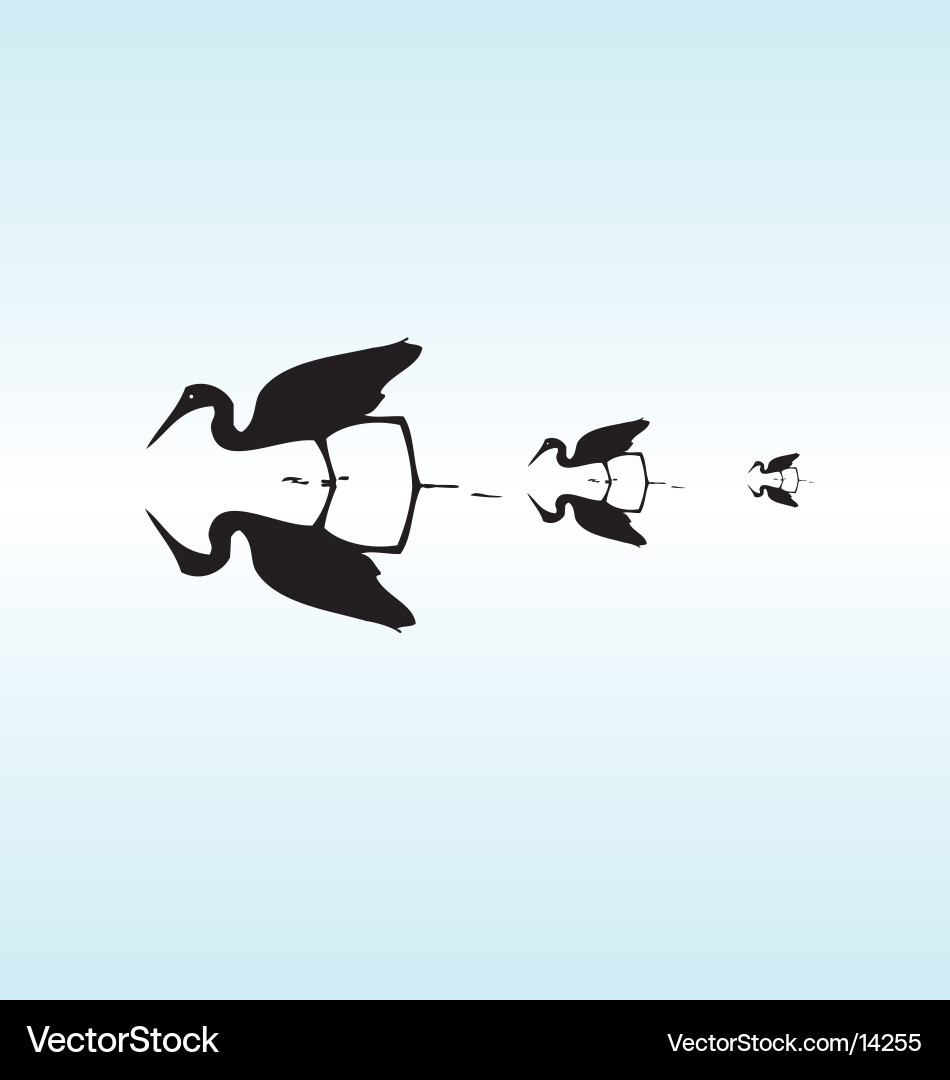 Flamingo Reflection Vector Image