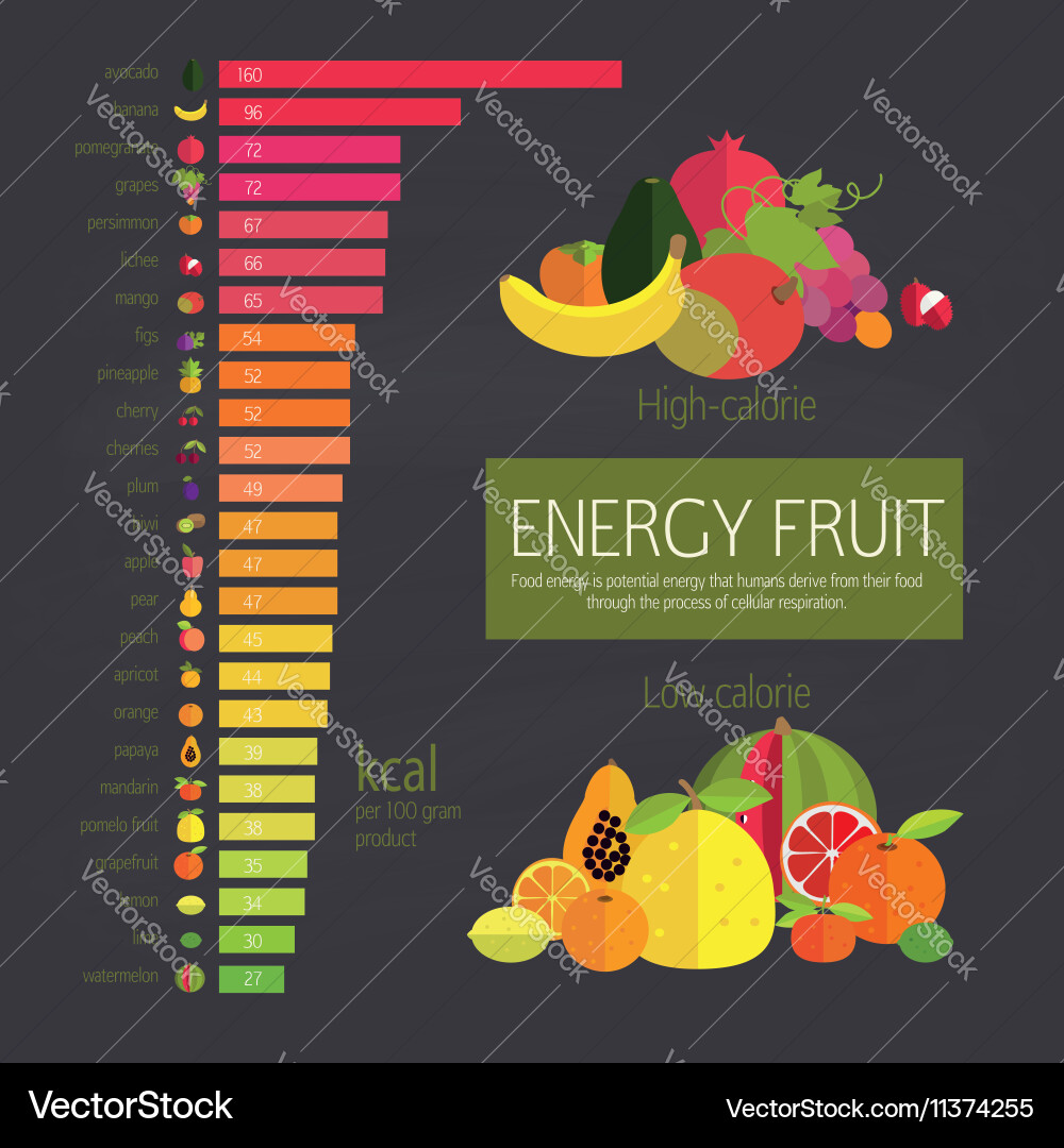 Food Energy Density Chart Royalty Free Vector Image