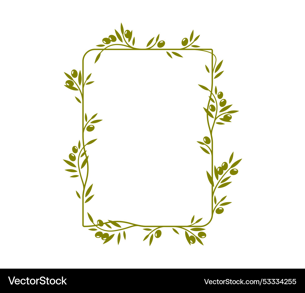 Olive tree leaves frame or leaf divider border Olive tree leaves frame or leaf divider border vector image