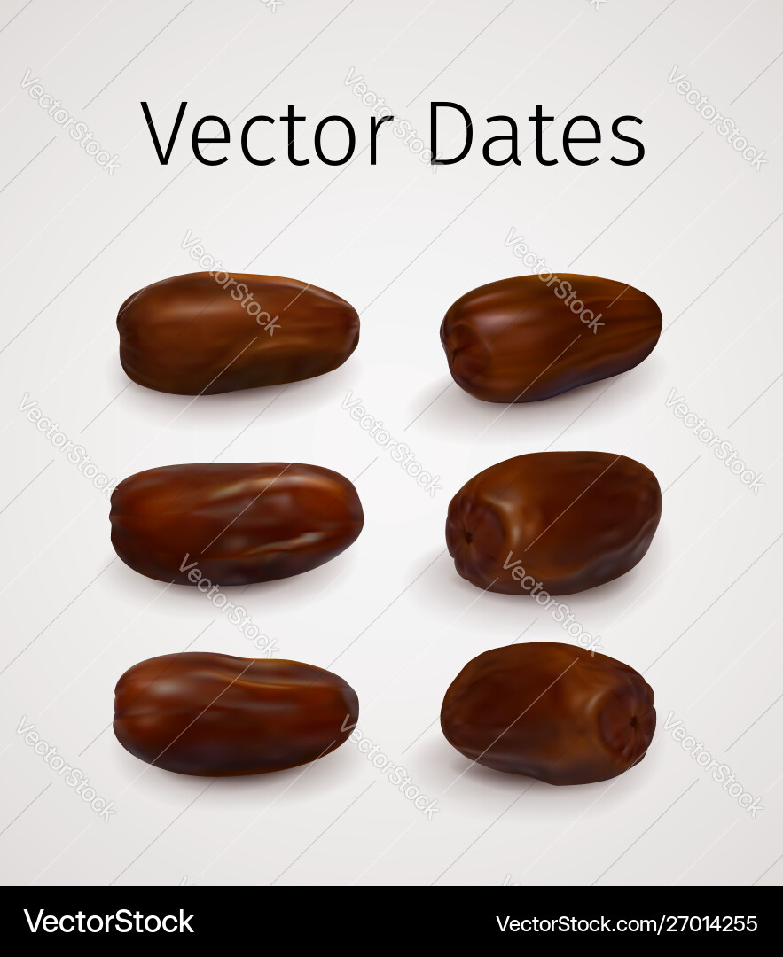 Realistic Dates Fruit Set Vector Image
