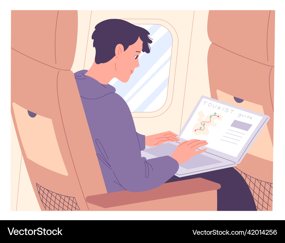Man with laptop on airplane while in flight vector image