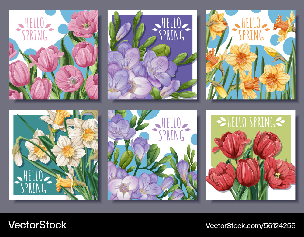 Spring square card set with tulip daffodil Spring square card set with tulip daffodil Vector Image