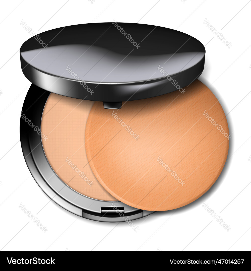 Compact make-up powder open round container Compact make-up powder open round container vector image